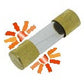 GAUE FUSES